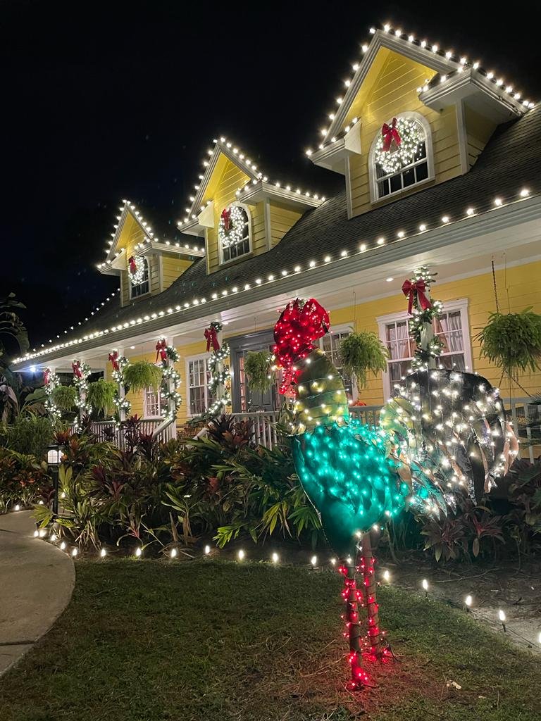 Northern Lights Florida lighting project 18